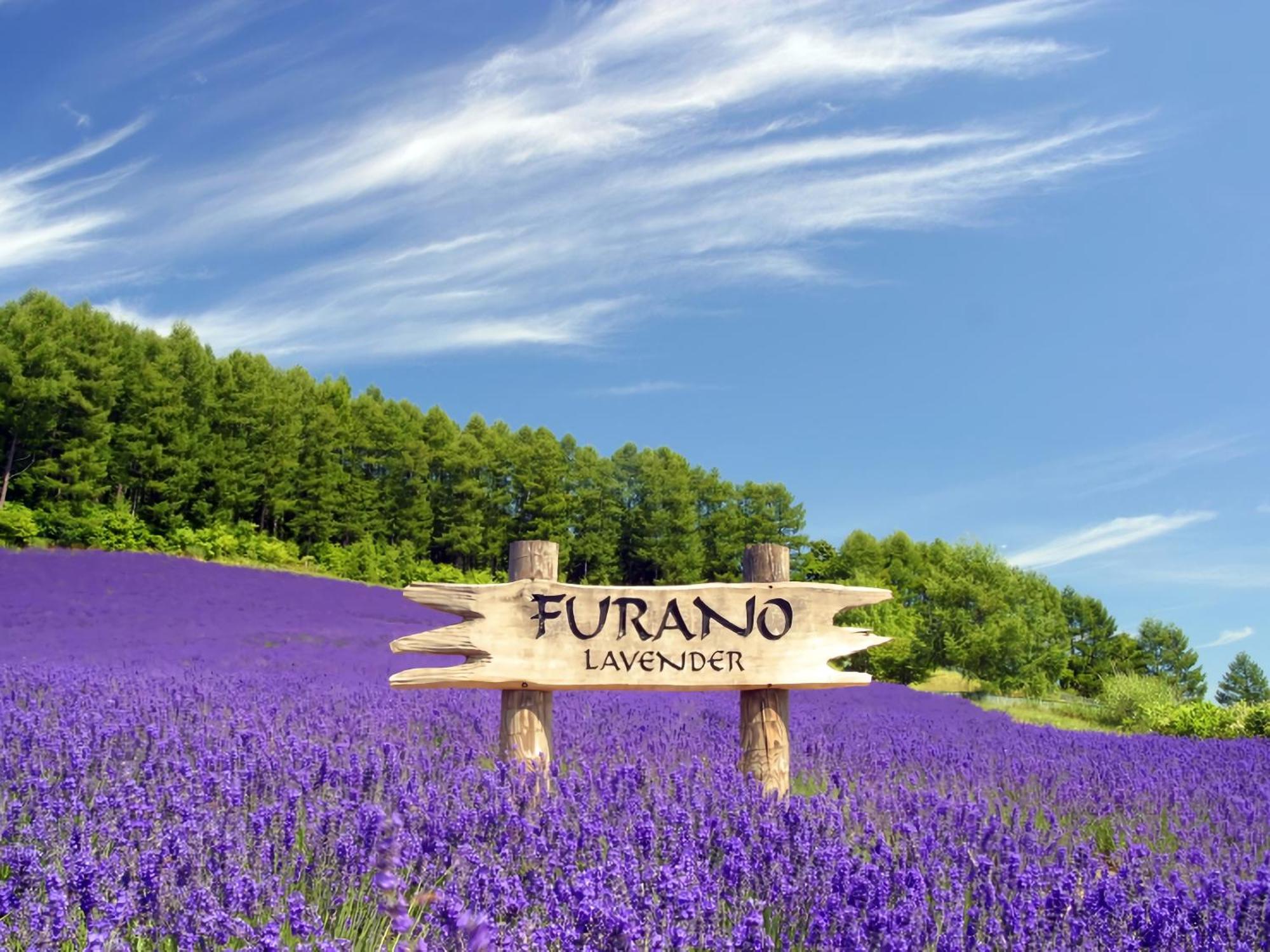 Hotel Naturwald Nakafurano Kültér fotó