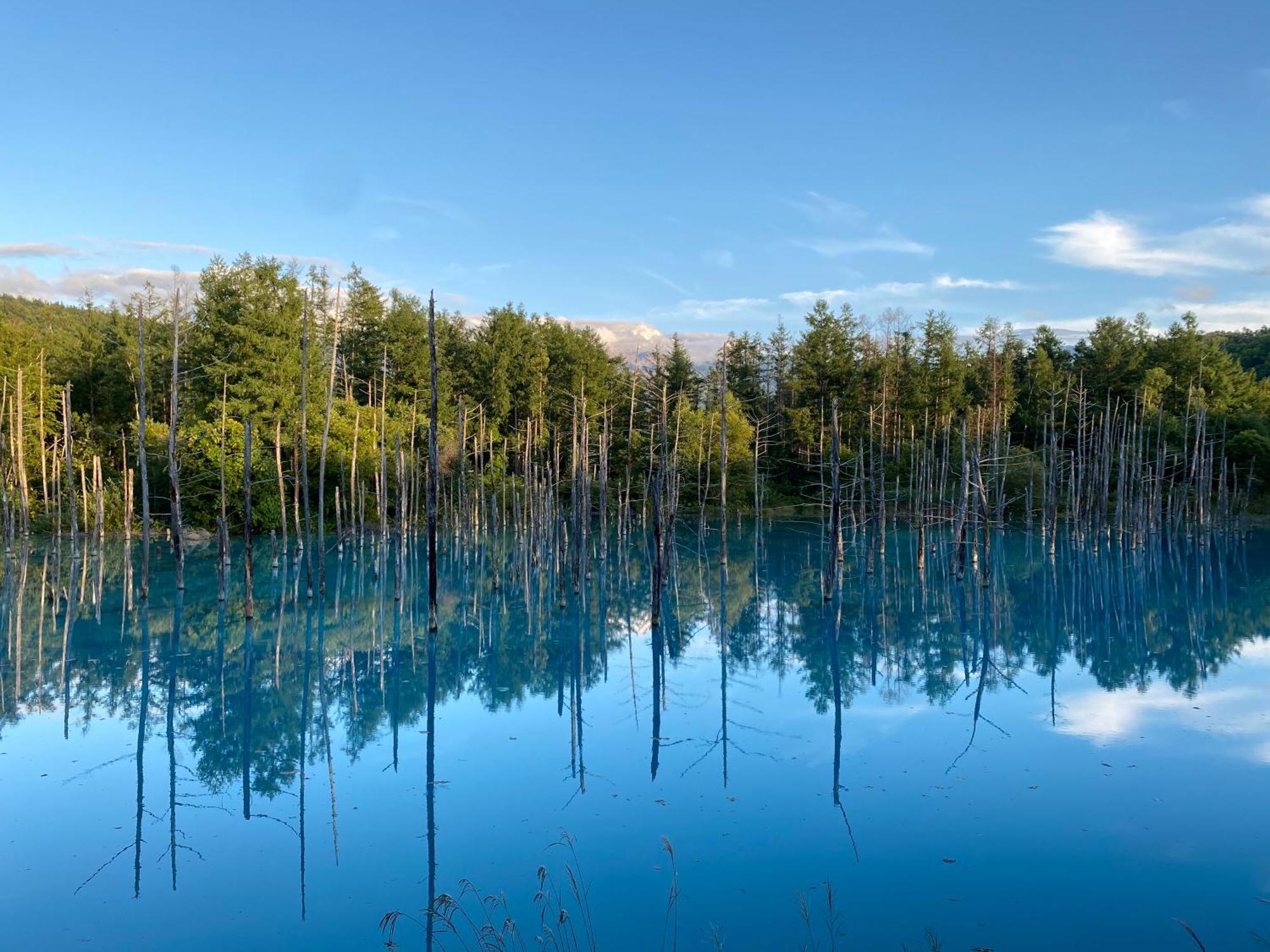 Hotel Naturwald Nakafurano Kültér fotó
